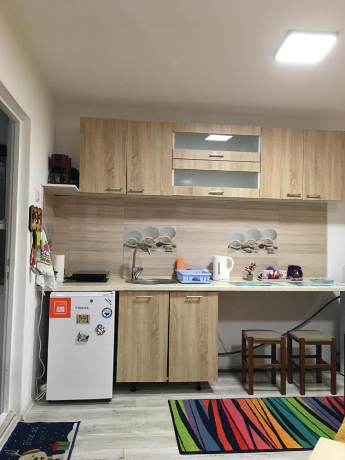 布拉索夫Cosy Hideaway公寓 外观 照片