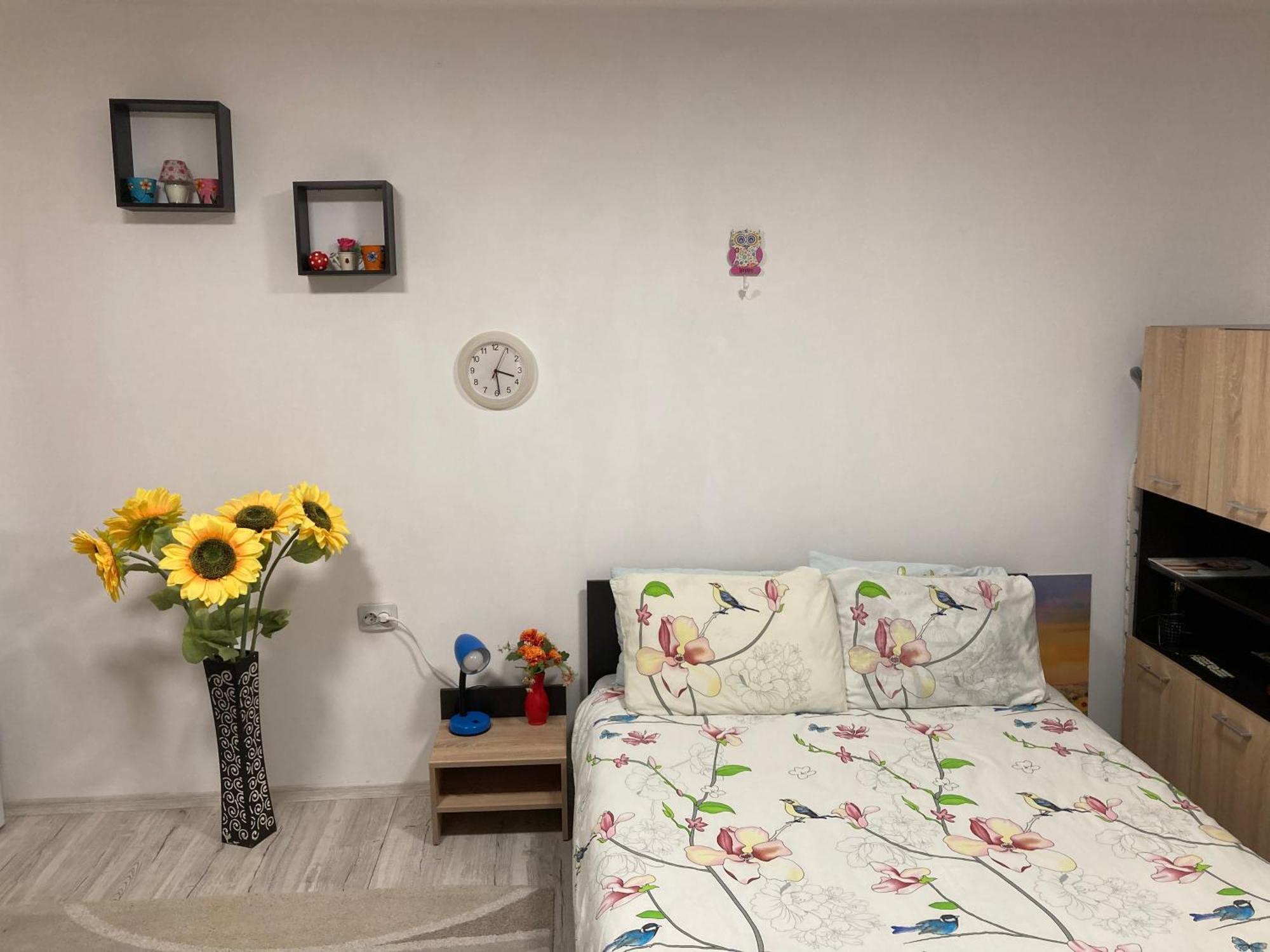 布拉索夫Cosy Hideaway公寓 外观 照片