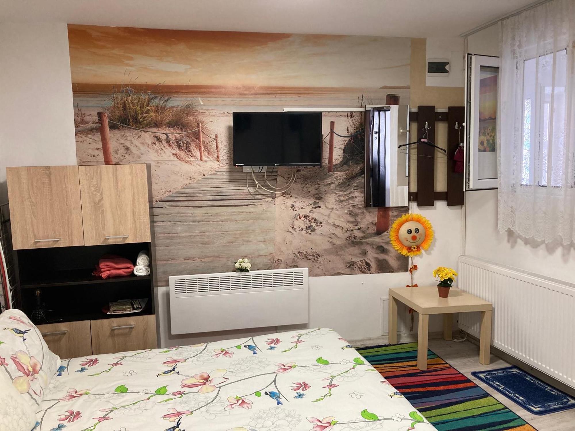 布拉索夫Cosy Hideaway公寓 外观 照片