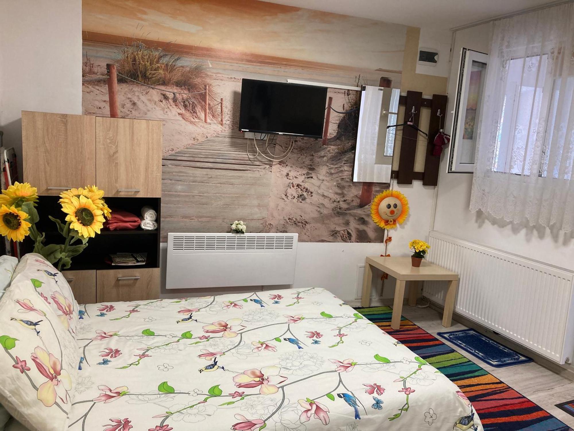 布拉索夫Cosy Hideaway公寓 外观 照片